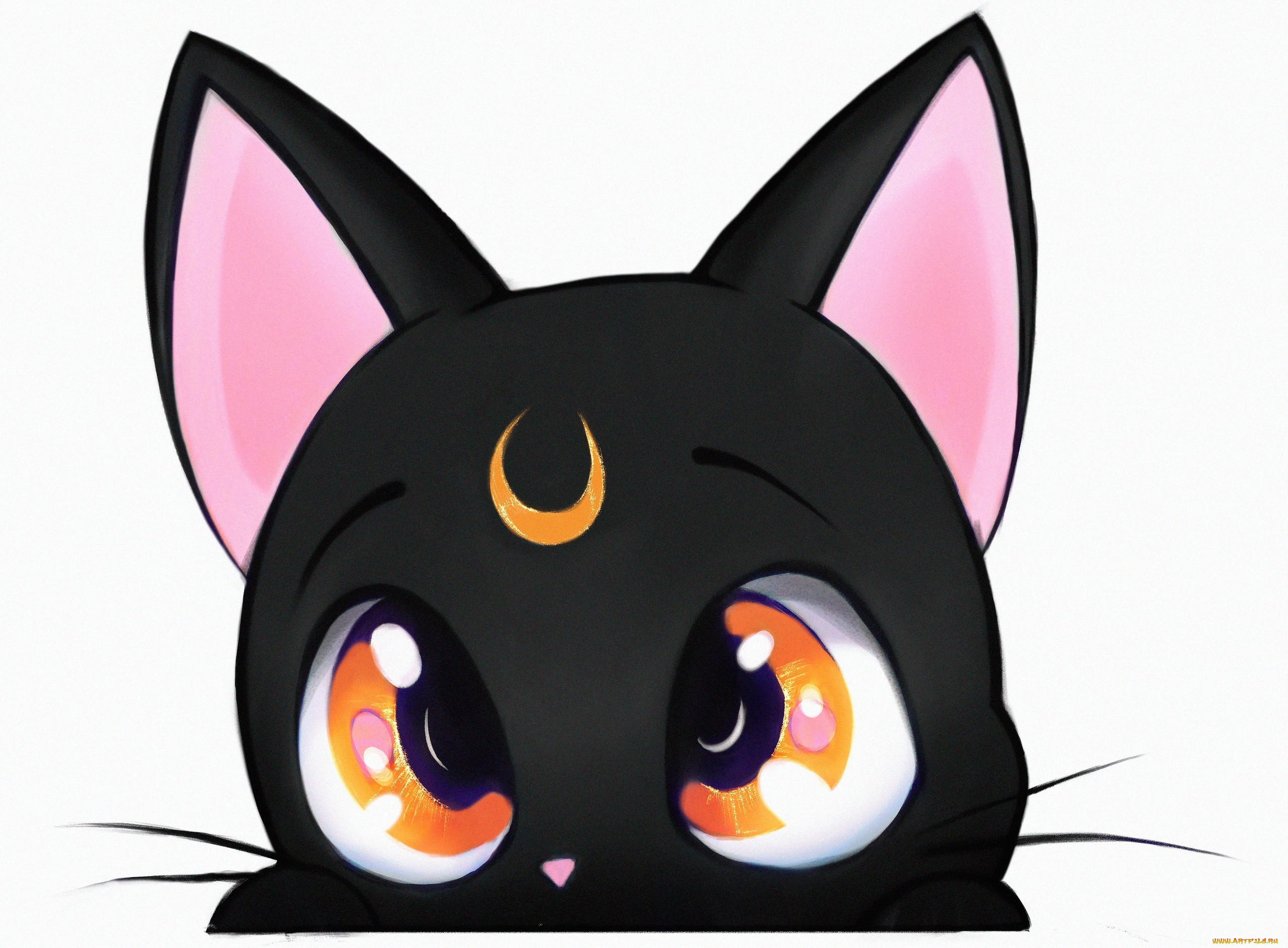 , sailor moon, panda, , 